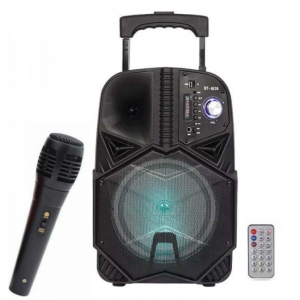 Boxa wireless Bluetooth BT-1839